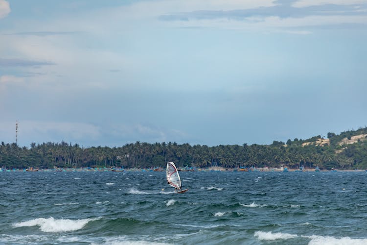 Person Windsurfing On Sea