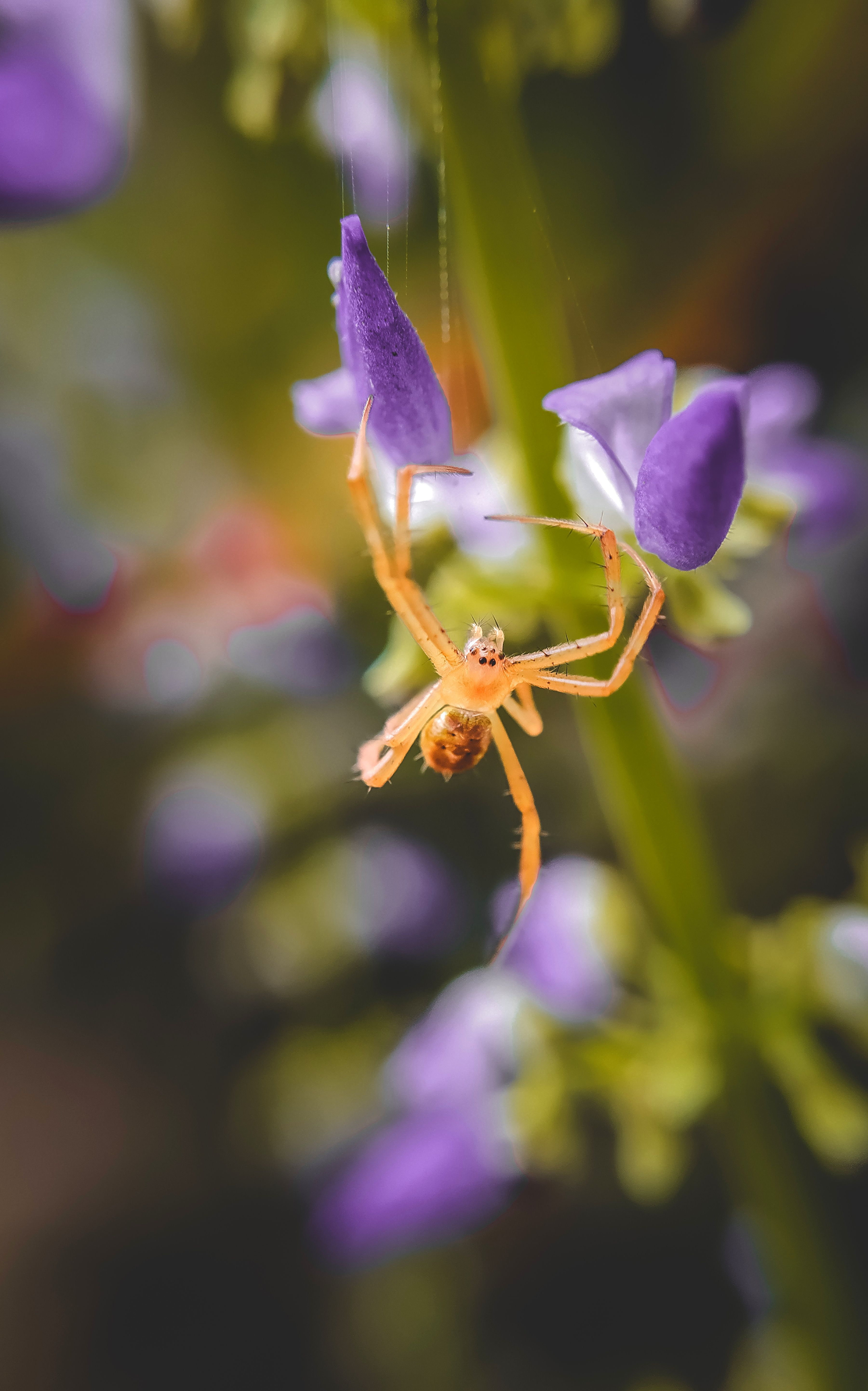 Ragu Raja - Photography