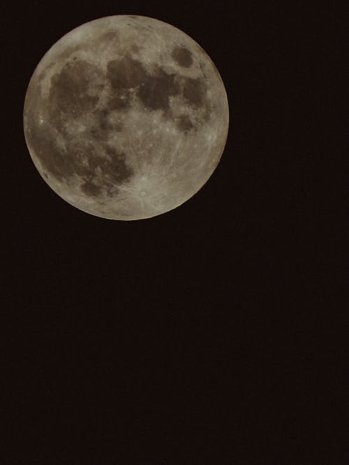 A Full Moon in the Dark Night Sky 