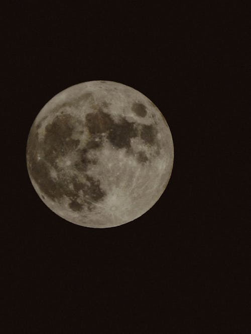 Full Moon in the Night Sky