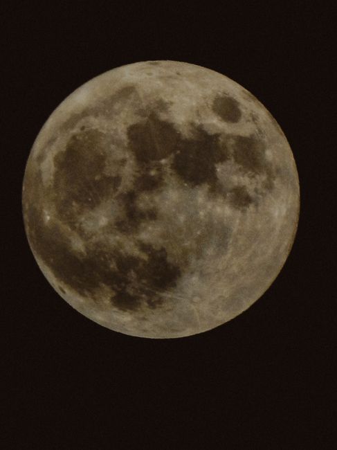 Fotomural Primer plano de la luna llena mostrando detalles de la superficie contra un oscuro cielo nocturno.
