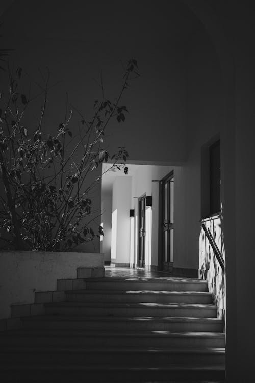 Imagine de stoc gratuită din 4k fundal, alb-negru, arc - caracteristică arhitecturală