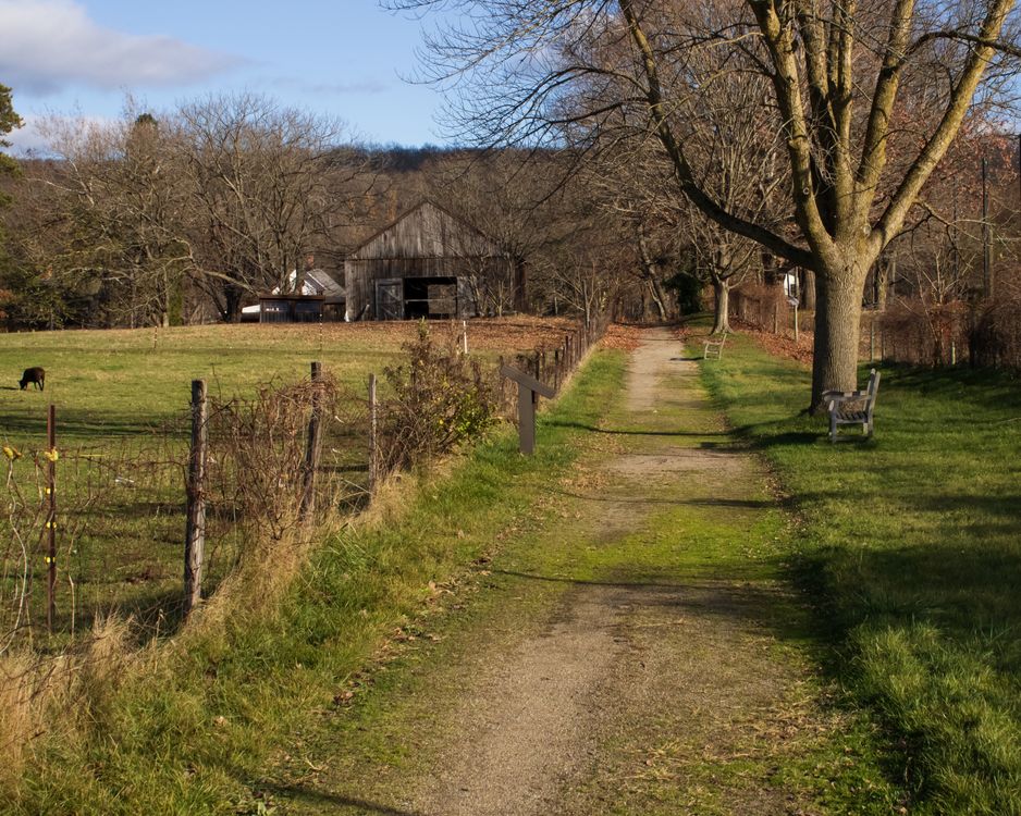 Barn Path Barn and Path on Farm · Free Stock Photo