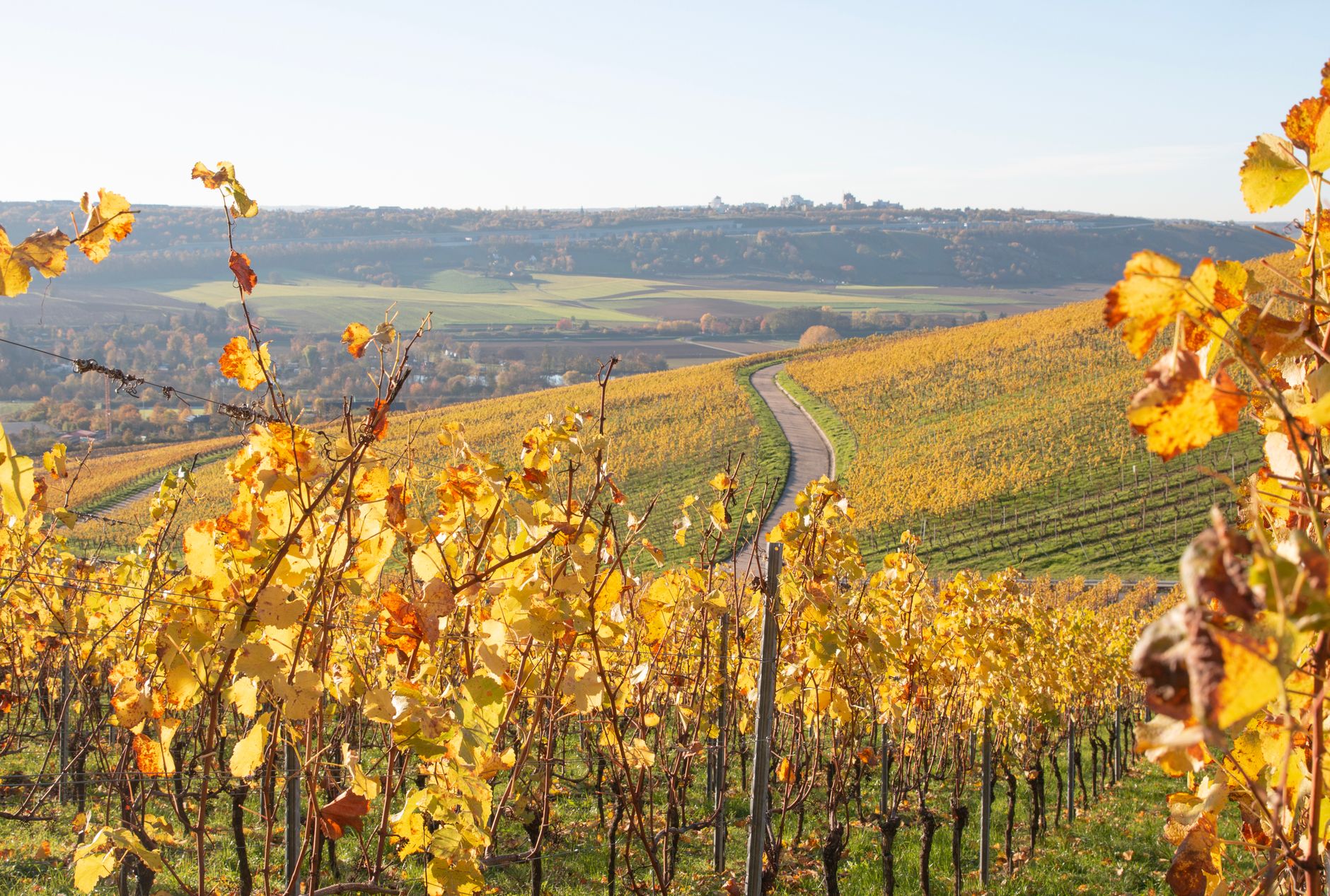 Broad autumn travel roundup expands beyond Arizona