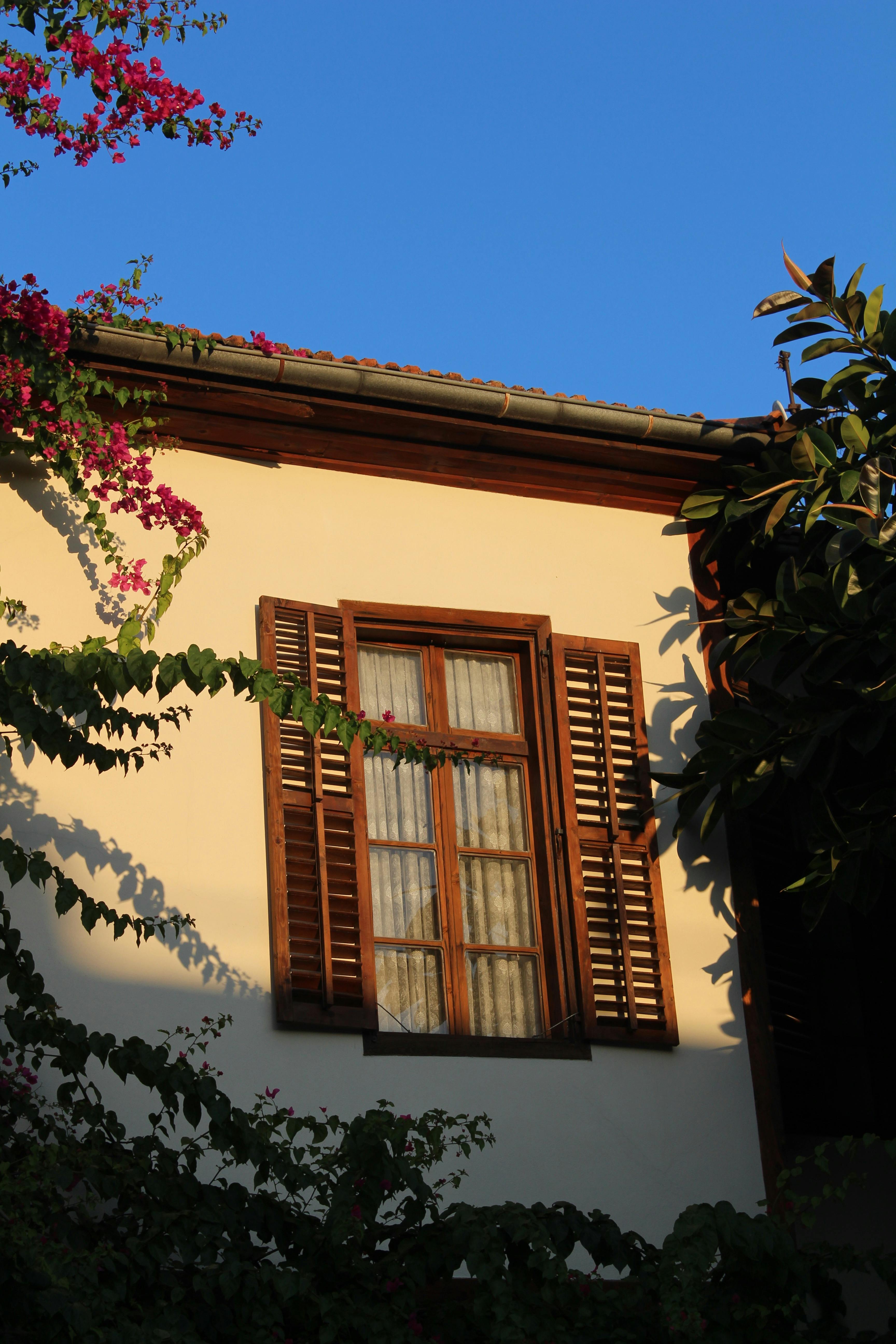 Wooden window with vibrant plants against a clear blue sky on a residential house.
