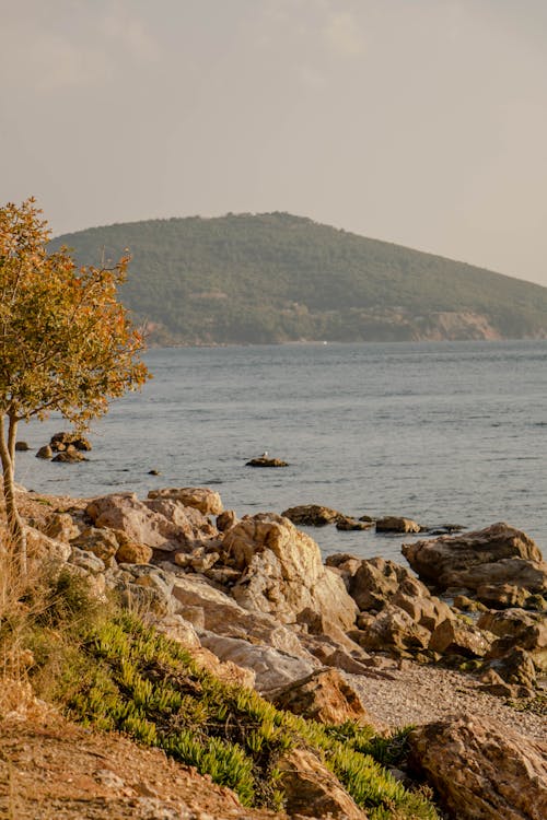 Foto d'estoc gratuïta de litoral, mar, paisatge