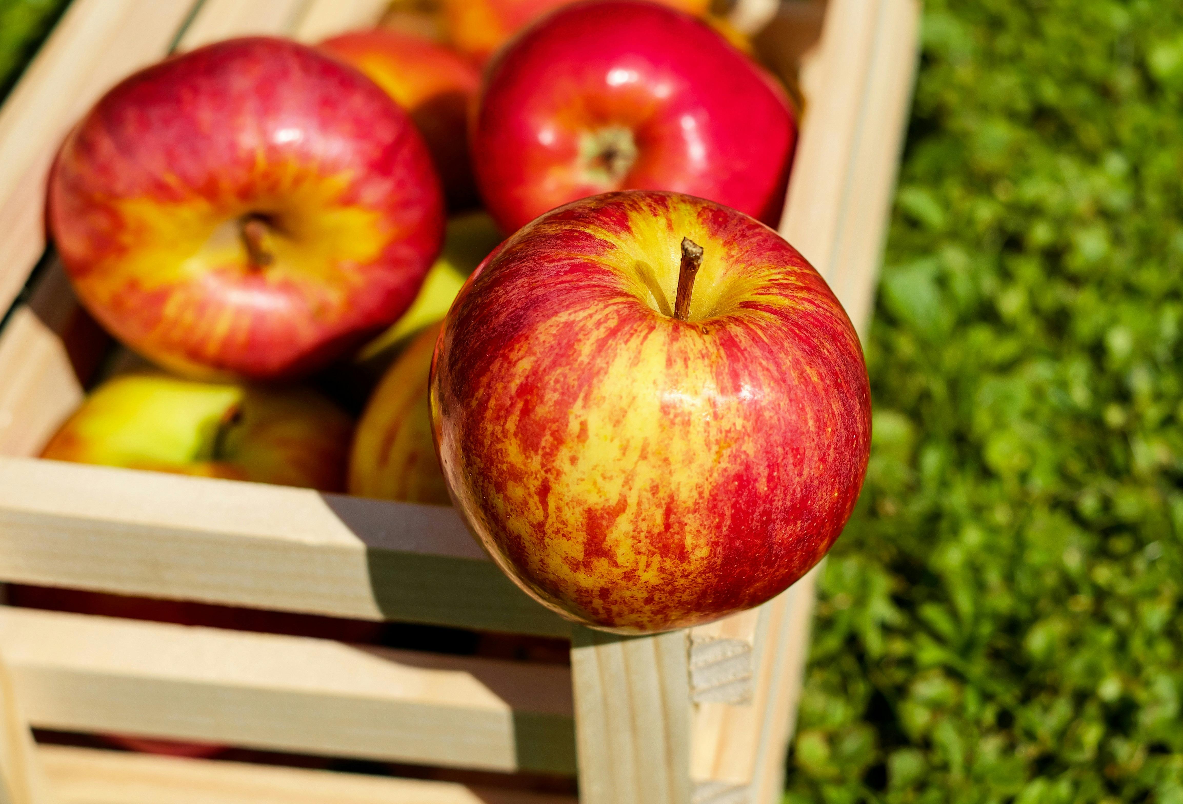 Download Red Yellow Apples On Wooden Basket Free Stock Photo Yellowimages Mockups