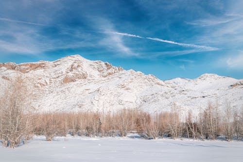 70.000+ Winterbilder und Fotos · Kostenlos Downloaden · Pexels Stock-Fotos