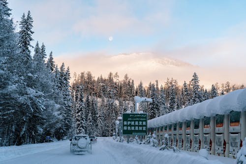 Ski Resort in Forest in Winter