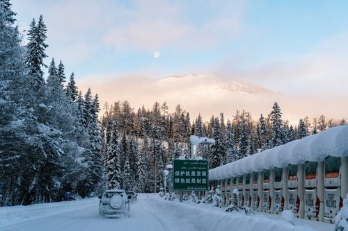 Free Snowy landscape featuring a forest road with vehicles in winter. Stock Photo