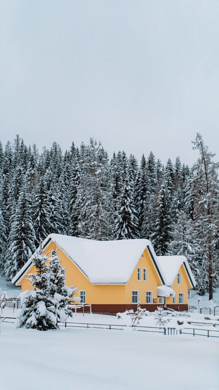 A Yellow House Near A Forest In Winter