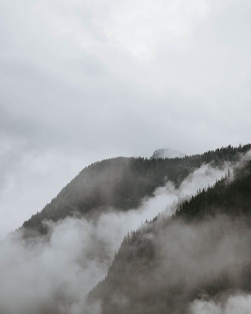 Гора, окруженная деревьями и туманом