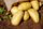 potatoes