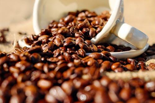 Free Shallow Focus of Coffee Beans on White Ceramic Cup Stock Photo