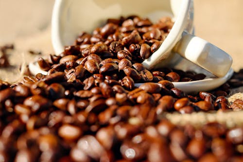 Shallow Focus of Coffee Beans on White Ceramic Cup