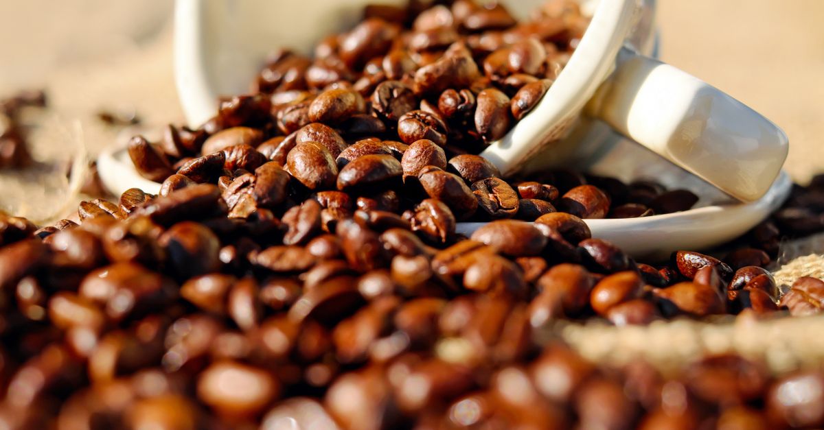 Cómo el aumento de precios internacionales impacta a las empresas de café en EE.UU. Cómo el aumento de precios internacionales impacta a las empresas de café en EE.UU.