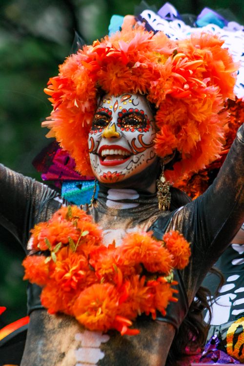 Free Portrait of a woman in vibrant Day of the Dead makeup and costume. Stock Photo