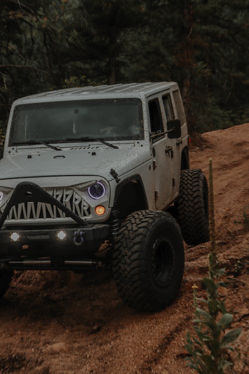 Free Jeep Wrangler Driving in an Off Road Area  Stock Photo