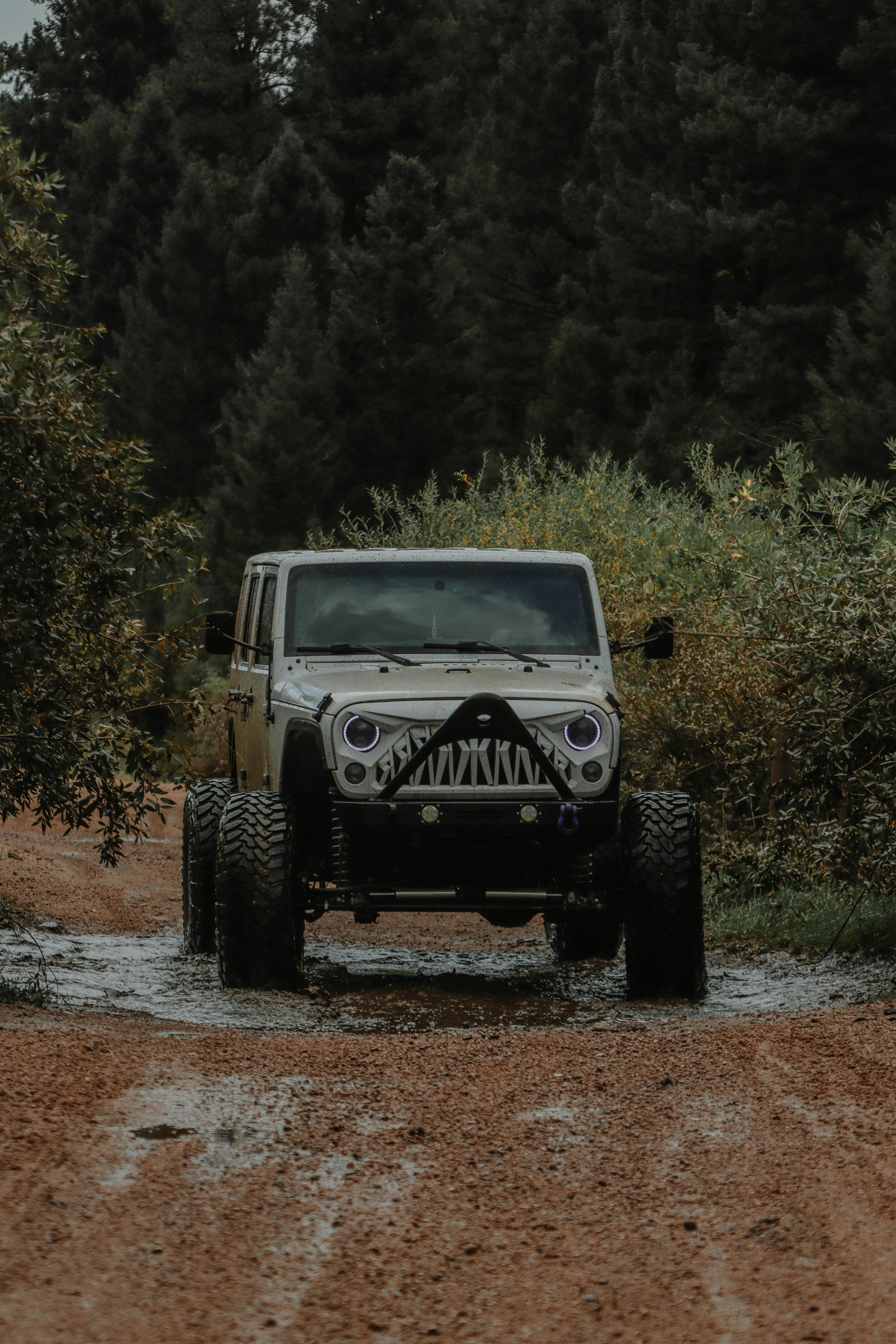 jeep on dirt road in forest