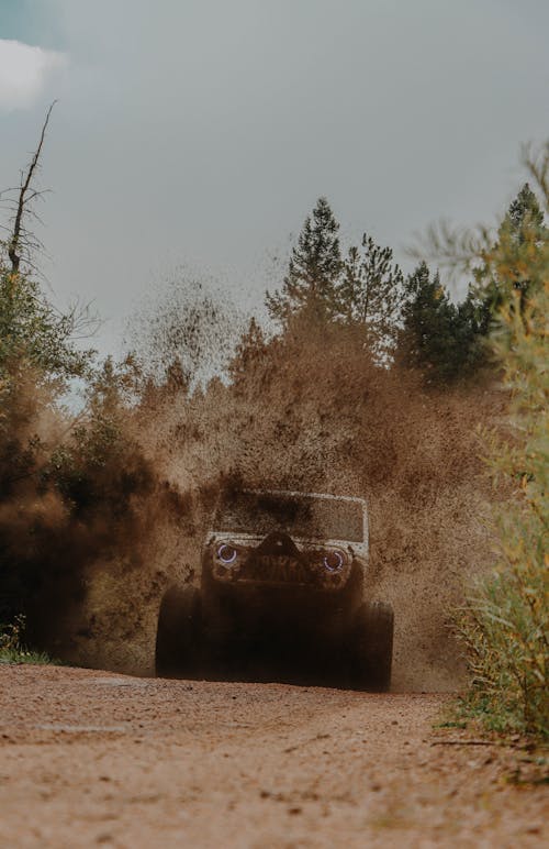 Track on a Road Among Trees 