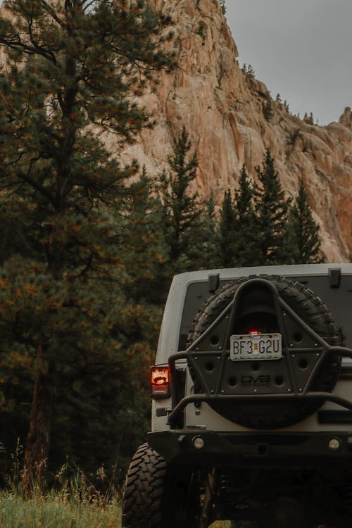 An Off Road Vehicle Near the Green Trees on Mountain