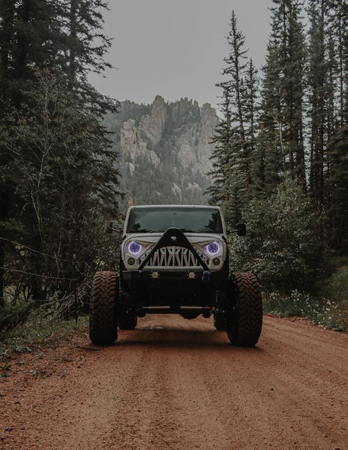 Foto d'estoc gratuïta de camí de carro, camió, jeep