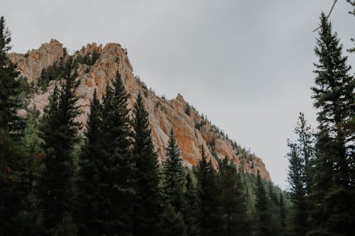 Бесплатное стоковое фото с гора, живописный, за городом