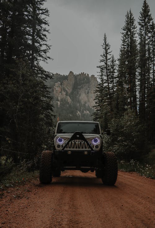 Jeep Wrangler Driving on an Unpaved Road in a Forest in Mountains 