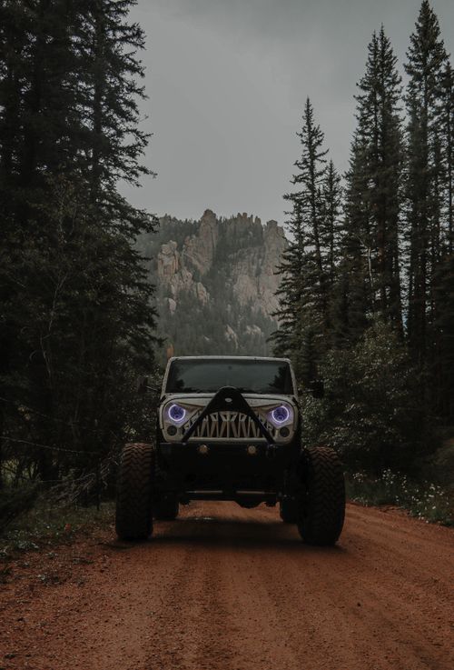 Free Jeep driving through a scenic forested mountain path, under an overcast sky. Stock Photo