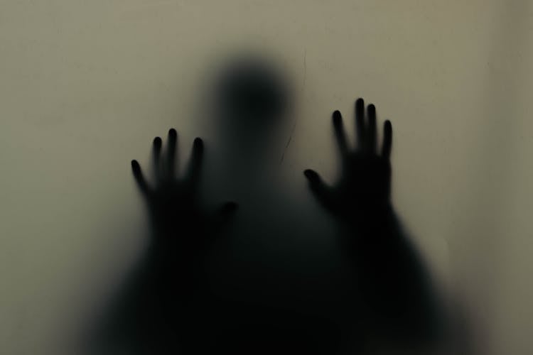 Silhouette Of A Person Behind A Translucent Wall