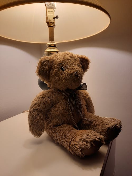 бесплатная Бесплатное стоковое фото с вертикальный выстрел, лампа, медведь Стоковое фото