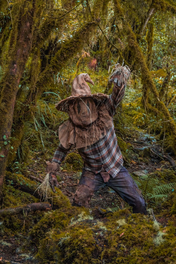 A Person In Scarecrow Costume