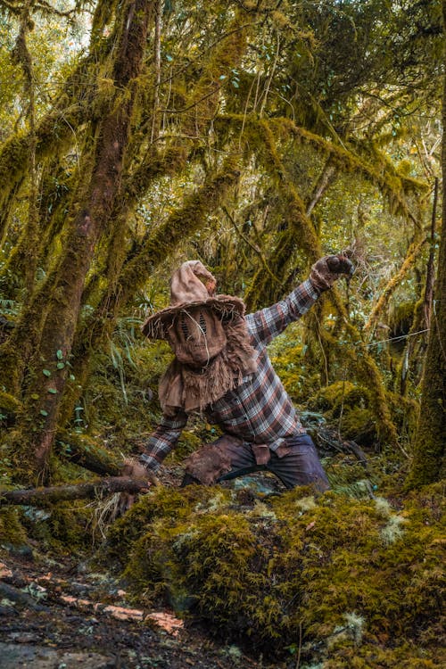 Gratis lagerfoto af fantasy, fugleskræmsel, grene