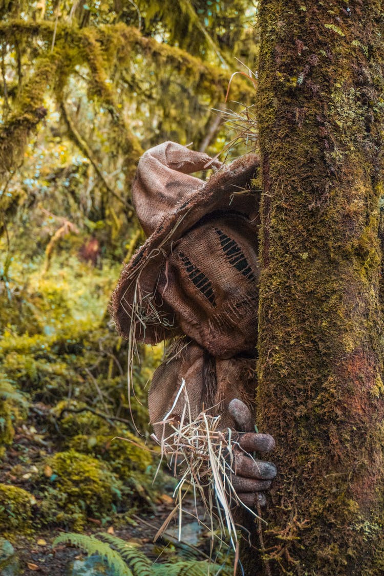 A Person In Scarecrow Costume Behind A Mossy Tree