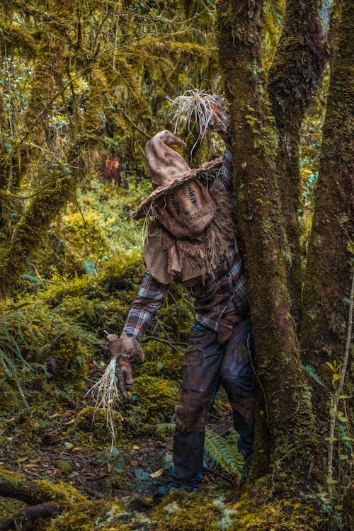 Scarecrow in a Forest 