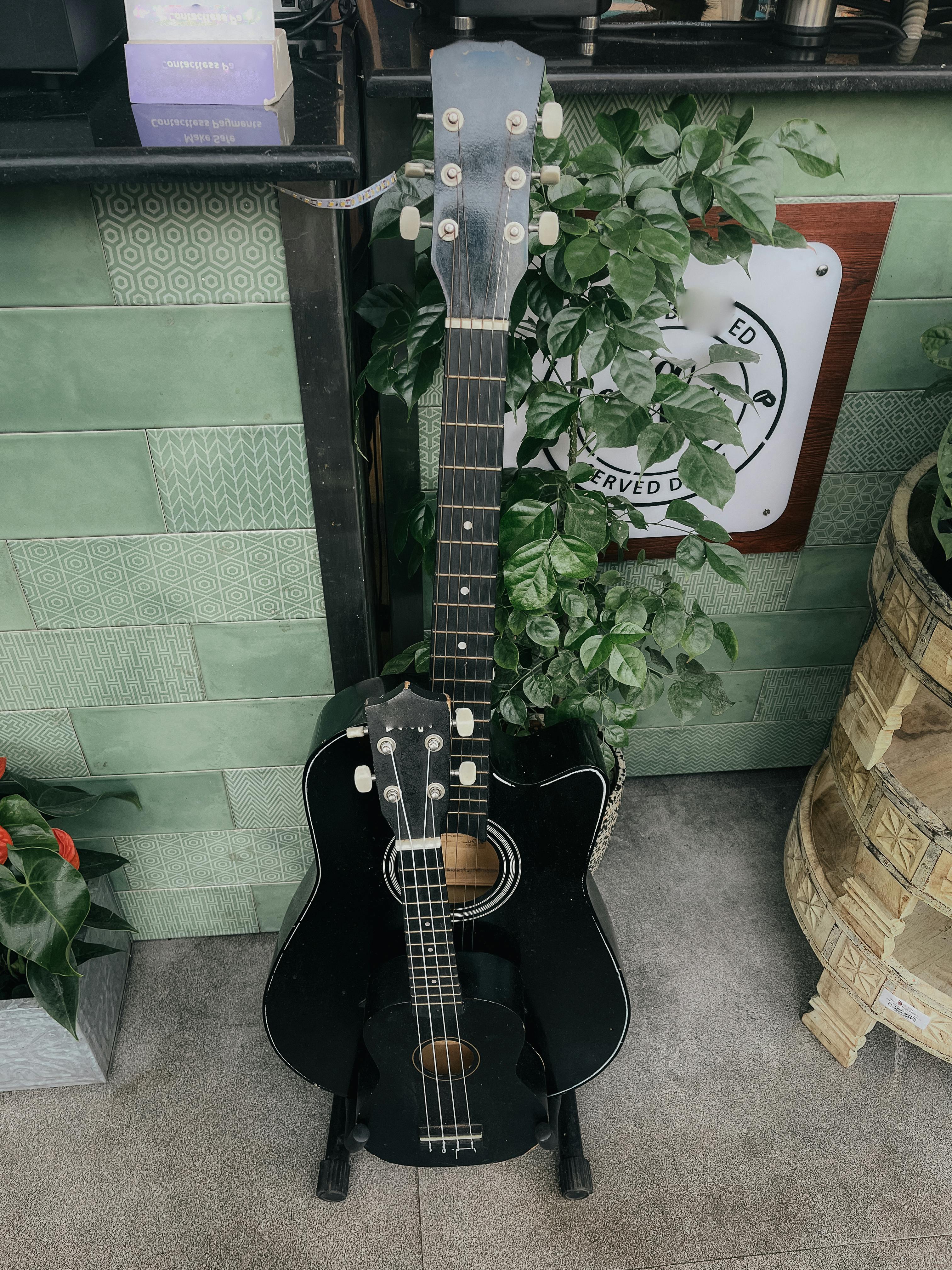 Free Acoustic guitar and ukulele leaning against a wall with green tiles and plants. Stock Photo