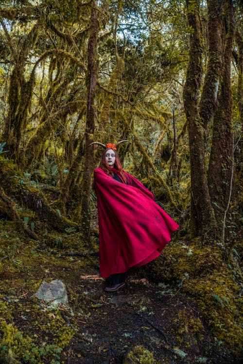 Woman Wearing Pink Costume in a Forest 