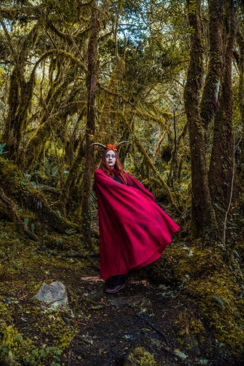 Free A woman in a vibrant red cloak stands amidst a magical forest in Choachí, Colombia. Stock Photo