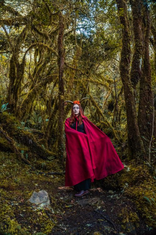 Free A woman in a red cape stands in a mystical forest, embodying a fantasy witch theme. Stock Photo