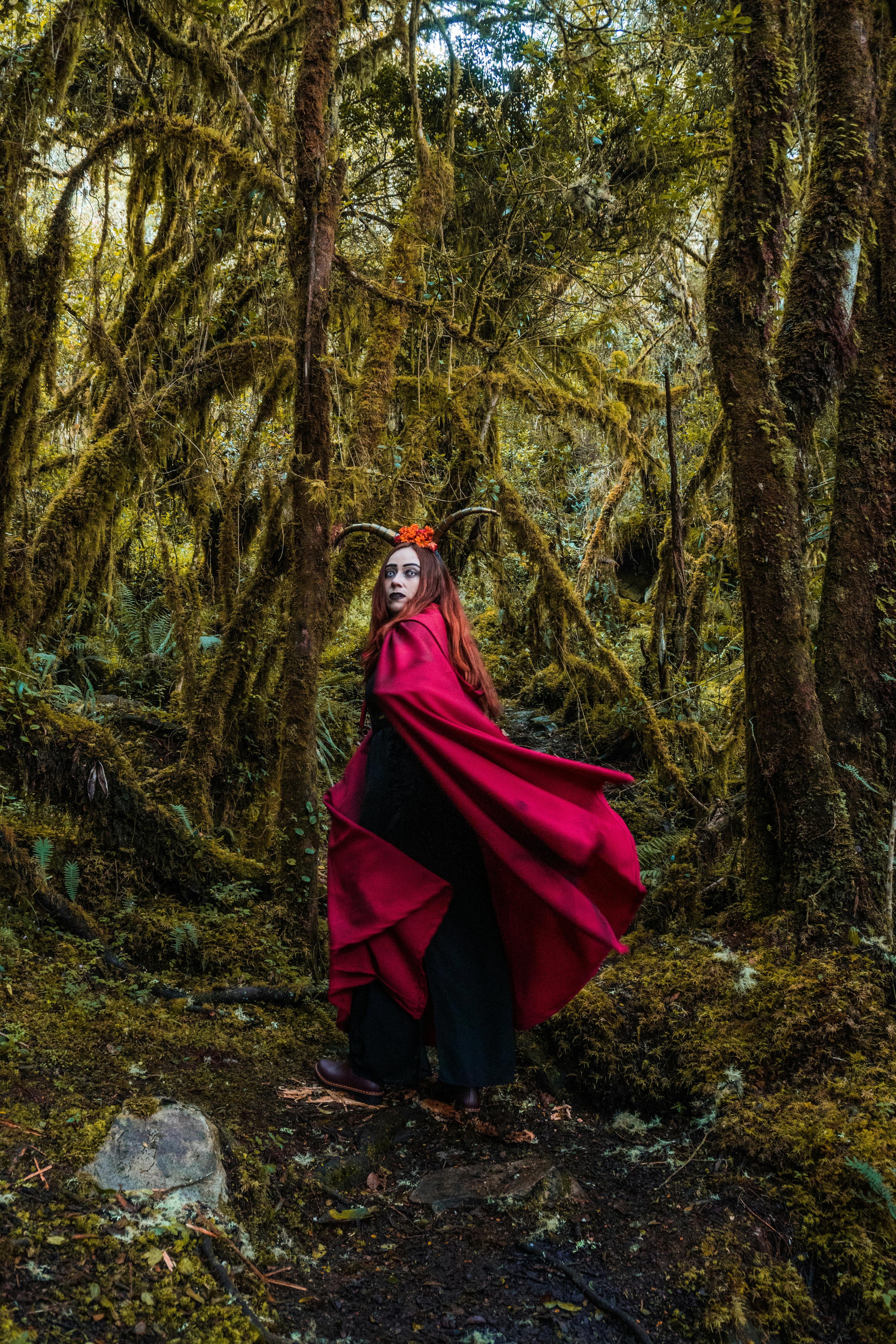 201.339+ Fotos y Imágenes de Bosque