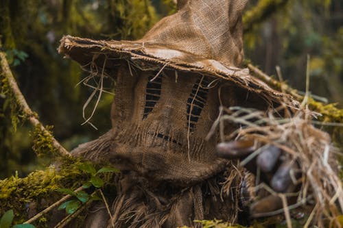 Person Dressed in a Scarecrow Halloween Costume Posing in a Forest 
