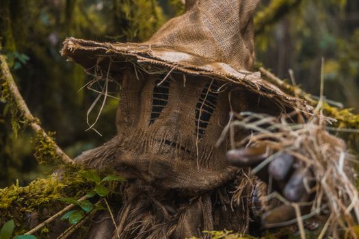 Eerie scarecrow with burlap face in a mossy forest in Choachí, Colombia.