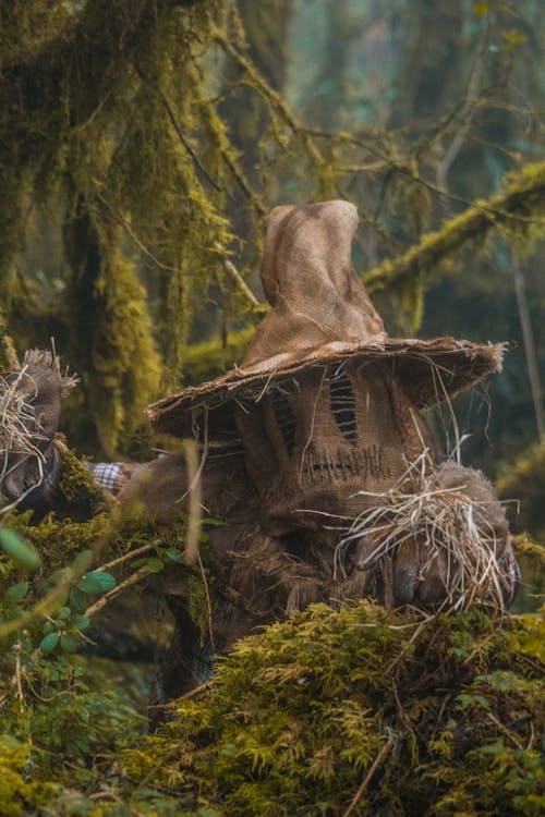 Foto stok gratis bergaya, cabang, fantasi