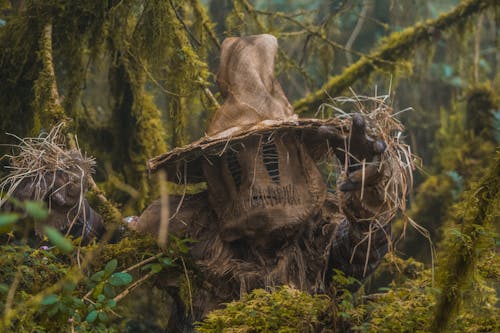 Person Dressed in a Scarecrow Halloween Costume Posing in a Forest 