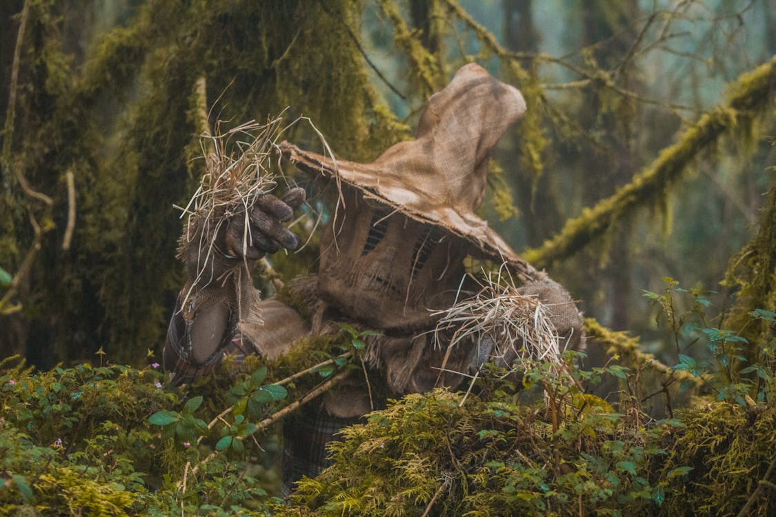 Fotos de stock gratuitas de bosque tenebroso, de miedo, disfraz