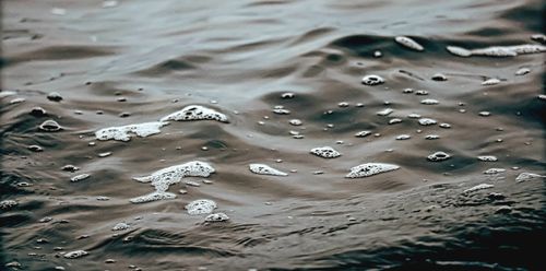 Free Close-up of a calm ocean surface with gentle waves and bubbles creating a soothing texture and serene vibe. Stock Photo