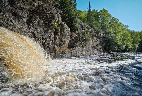 Бесплатное стоковое фото с береговая линия, вода, деревья