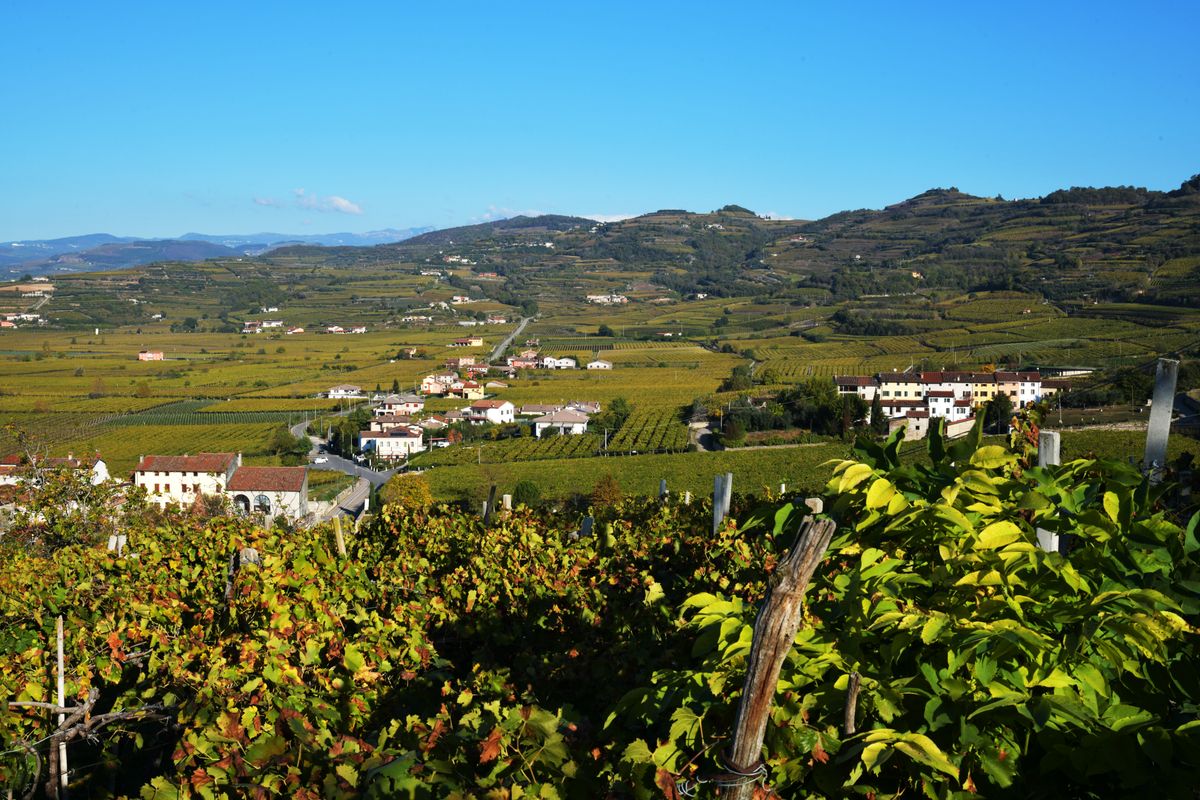 Podgorii din Veneto cu dealuri si cascine