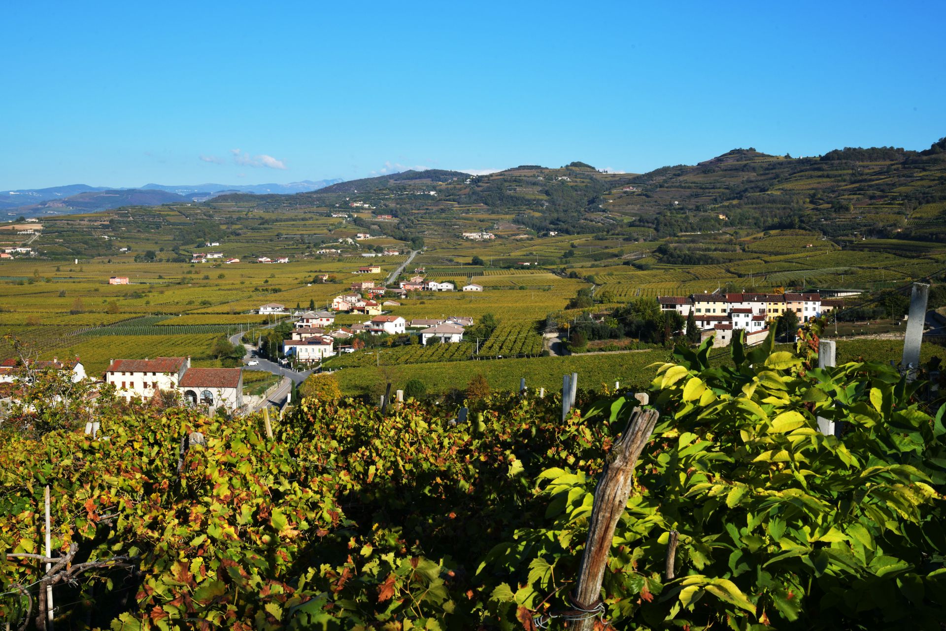 Montefalco, Umbria - Italia