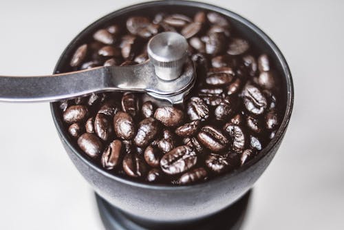 Free Coffee Beans in Coffee Grinder Stock Photo